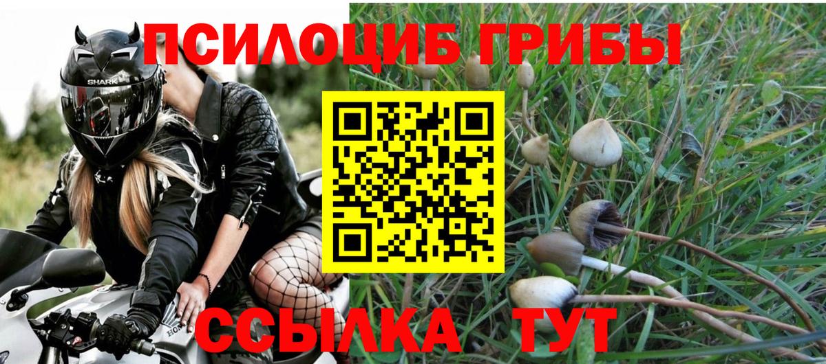 Псилоцибиновые грибы мицелий Горячий Ключ