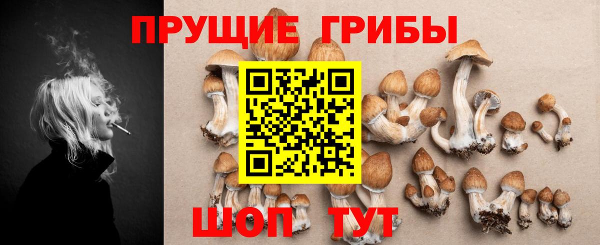 Горячий Ключ  Псилоцибиновые грибы MAGIC MUSHROOMS  Вход с VPN 
